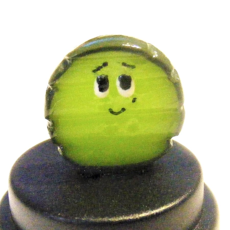 Pet Pickle, Pet Dill pickle, Sliced pickle, pickled gherkin, pregnancy gift