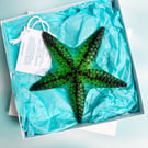 Fused Glass Starfish - Green-Turquoise