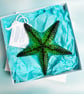 Fused Glass Starfish - Green-Turquoise