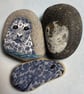 Little Seal painted pebble - Image 8