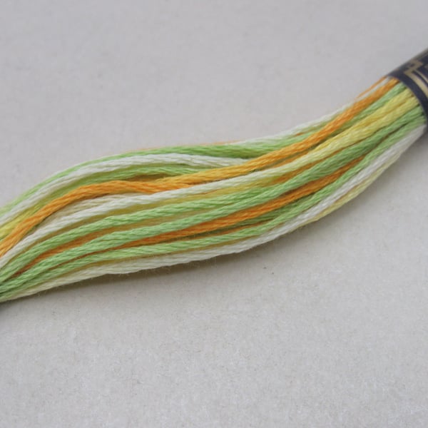 Single Skein of Anchor Spacedyed Yellow Green Embroidery Thread