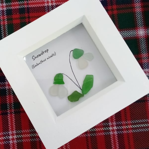 Seaglass wildflower snowdrop  framed picture