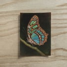 Original Butterfly ACEO Gouache Painting