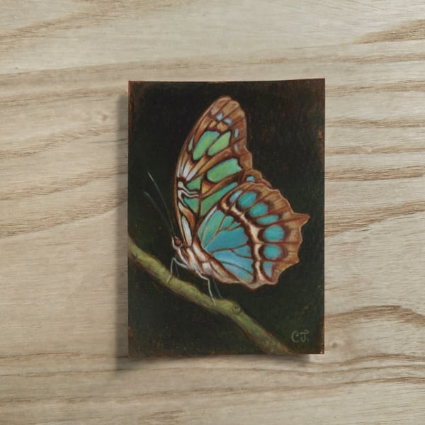 Original Butterfly ACEO Gouache Painting