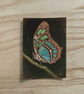 Original Butterfly ACEO Gouache Painting