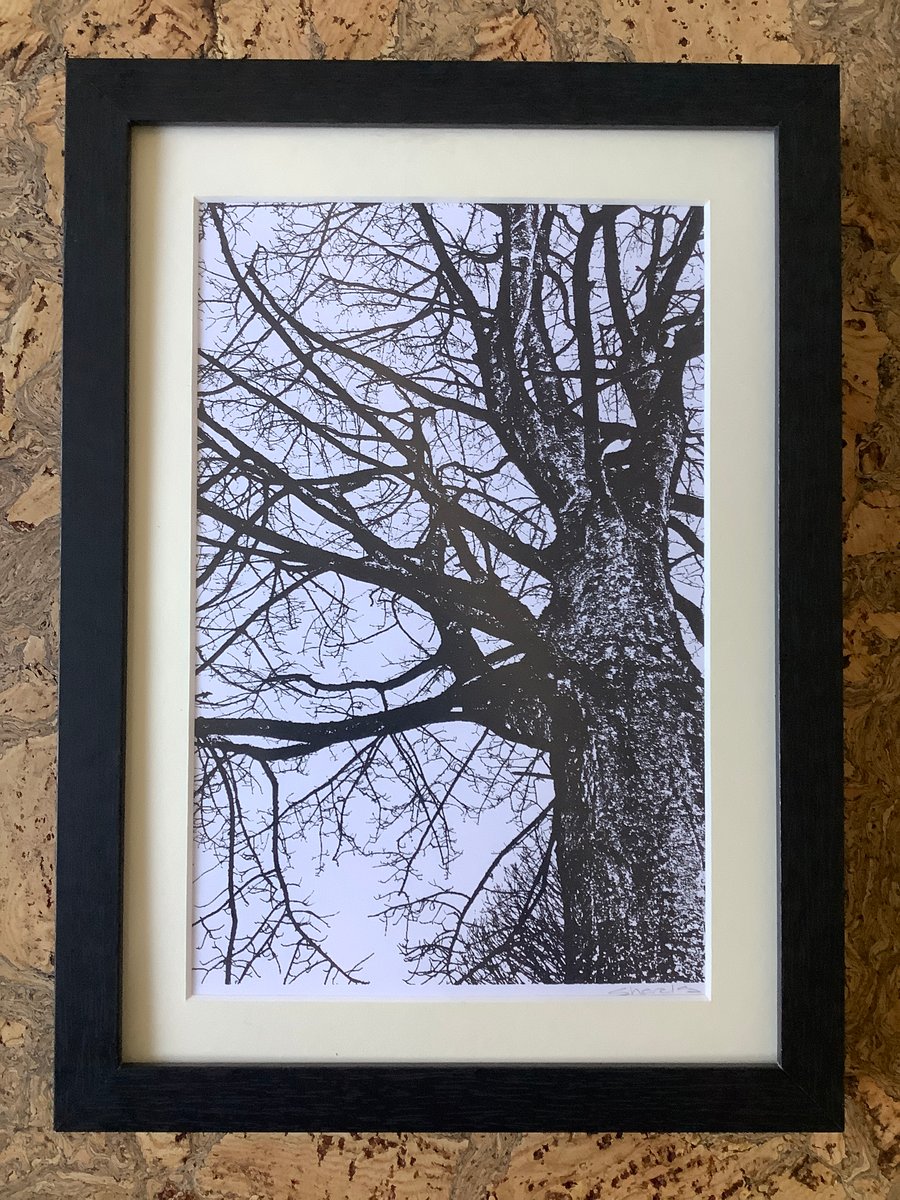 Unique Monochrome Print One of a Kind Eco Friendly Gifts Tree