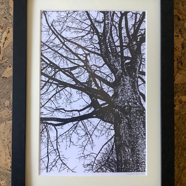 Unique Monochrome Print One of a Kind Eco Friendly Gifts Tree