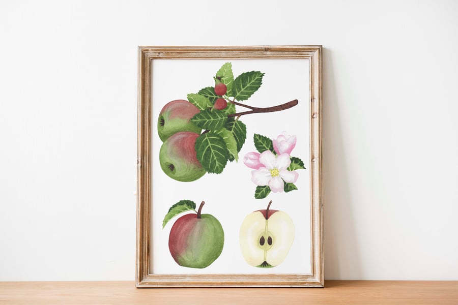 A4 apple watercolour art print