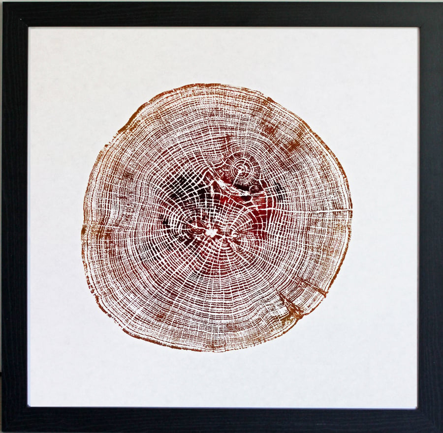 English Oak - Tree Ring Autumnal Brown Art Print 40cm