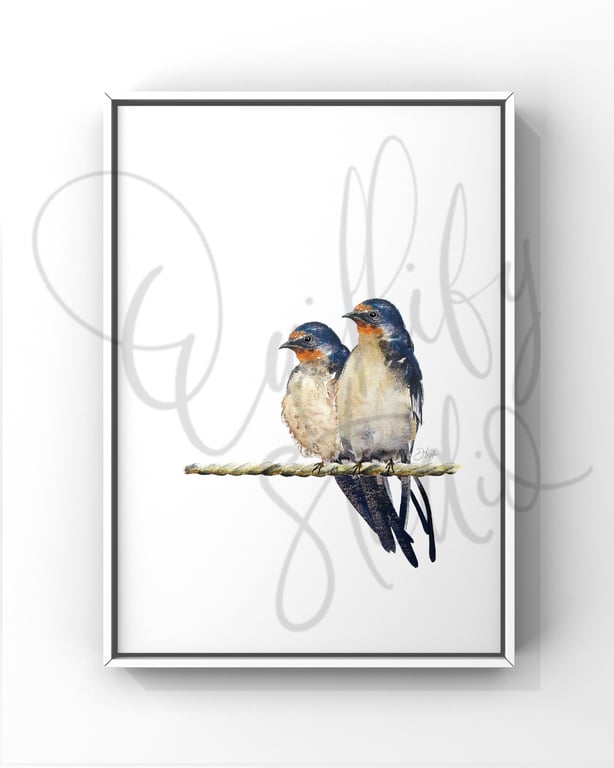 Watercolour Print Swallows Comet And Bo