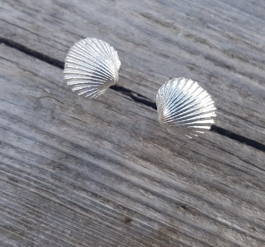 Cockle Shell Studs large
