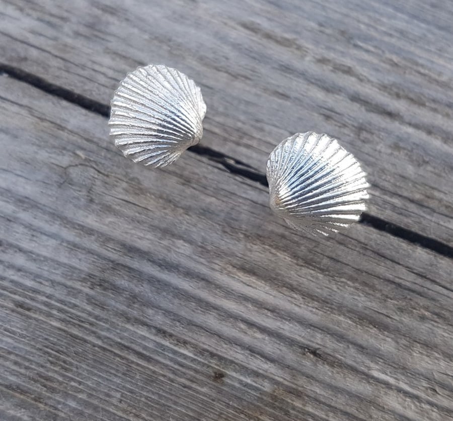 Cockle Shell Studs