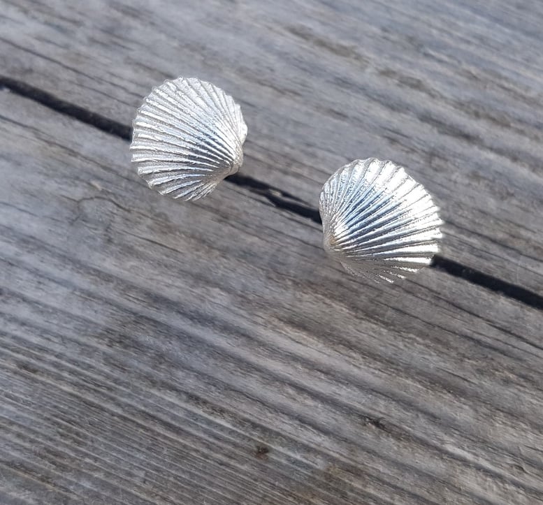 Cockle Shell Studs