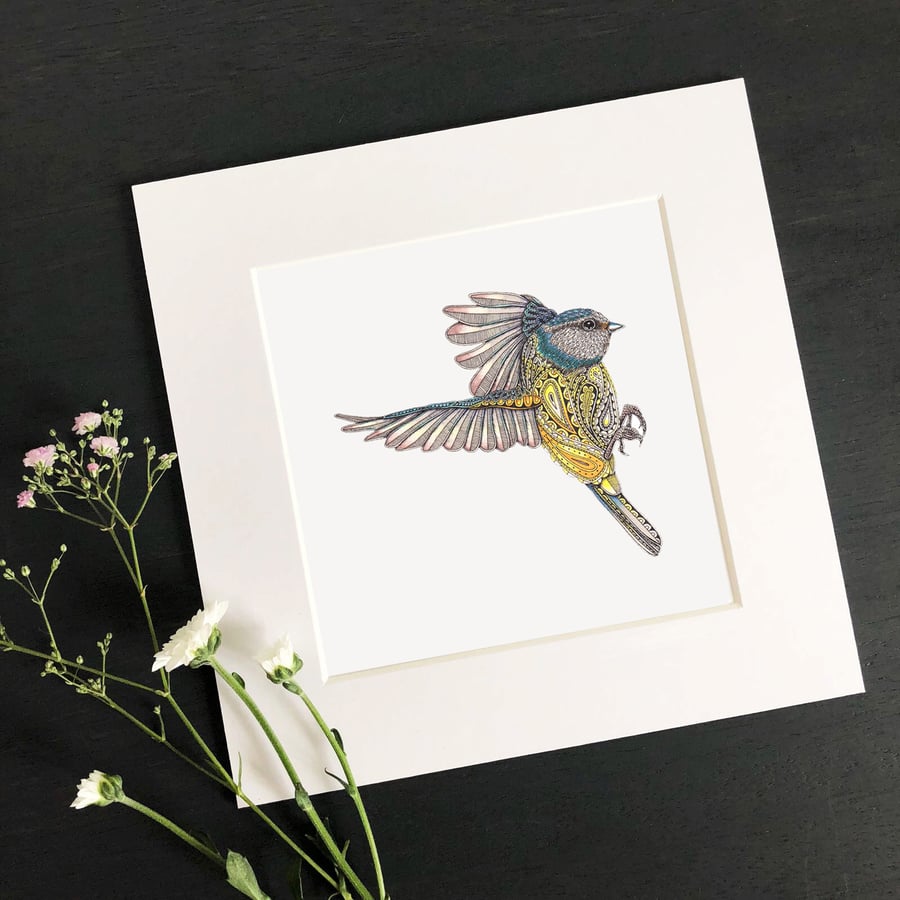 'Blue Tit' 8" x 8" Mounted Print