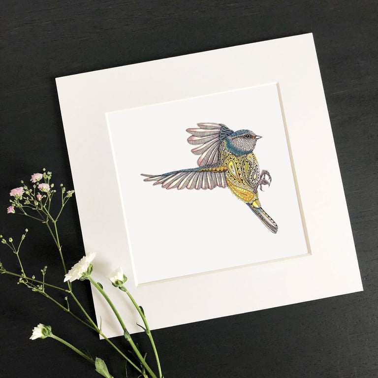 'Blue Tit' 8" x 8" Mounted Print