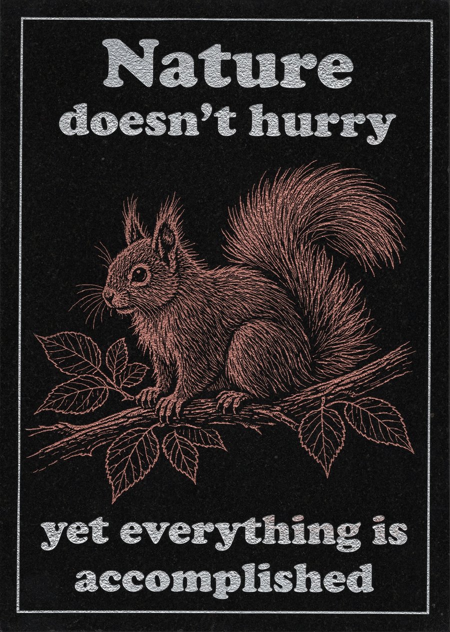 Nature Doesn't Hurry … Nature Wisdom (Squirrel)