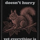 Nature Doesn't Hurry … Nature Wisdom (Squirrel)