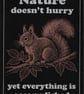 Nature Doesn't Hurry … Nature Wisdom (Squirrel)