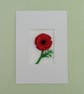 ACEO  - Image 3