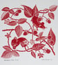 Brambles and Mice hand pulled screen print - Image 1
