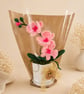 Pink Orchid in Pot – Handmade Forever Flower Gift with Gift Packaging