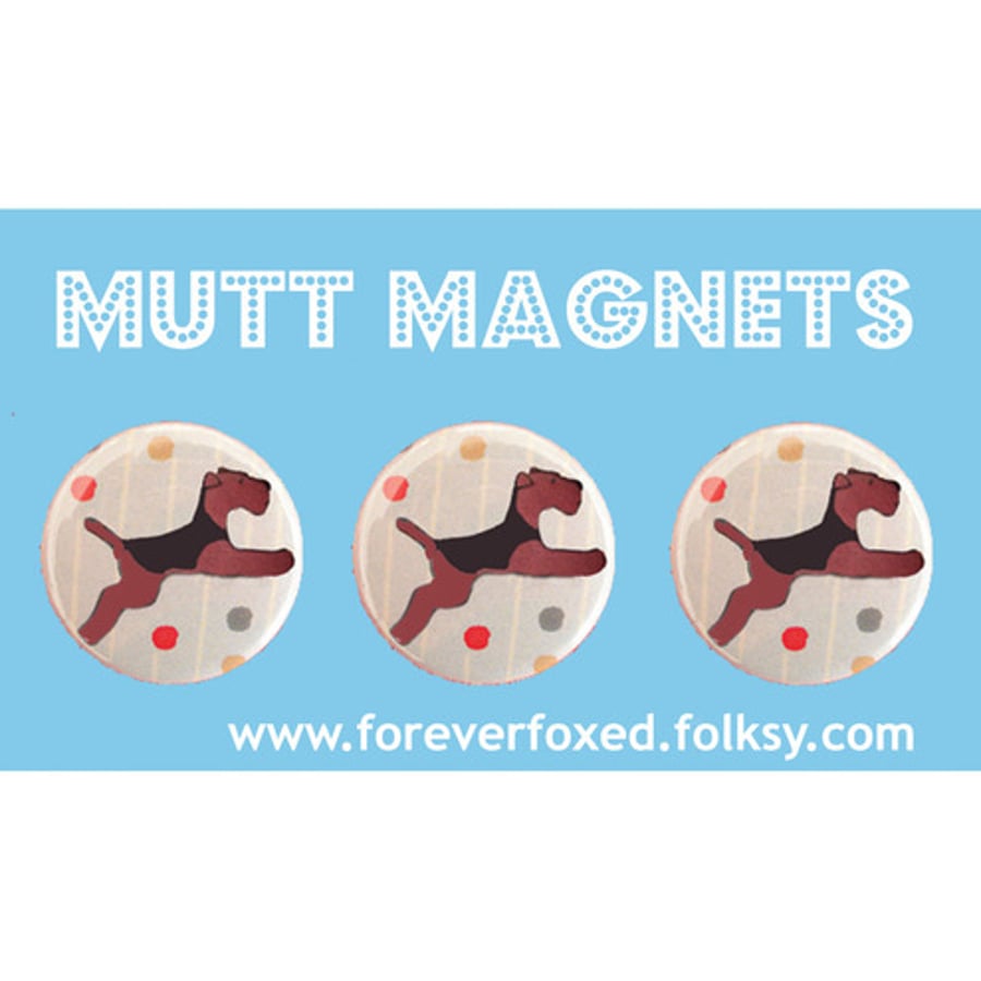 Flying Welsh Terrier Magnets