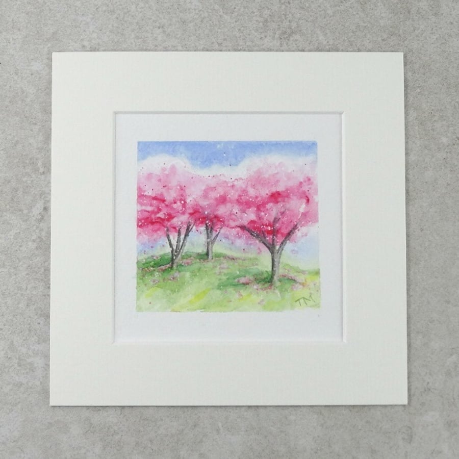 Original Watercolour Miniature Painting 'Cherry Blossom Trees' - 6" X 6" Mount