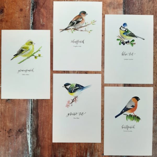 Selection of 3 Watercolour Bird Prints