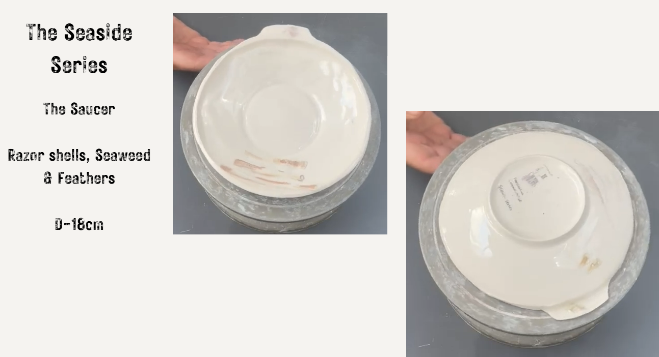 The Saucer - The Seaside Series