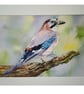 Jay - Image 1