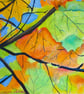 Framed  Oil Painting of Autumn Leaves Square Art  - Image 6