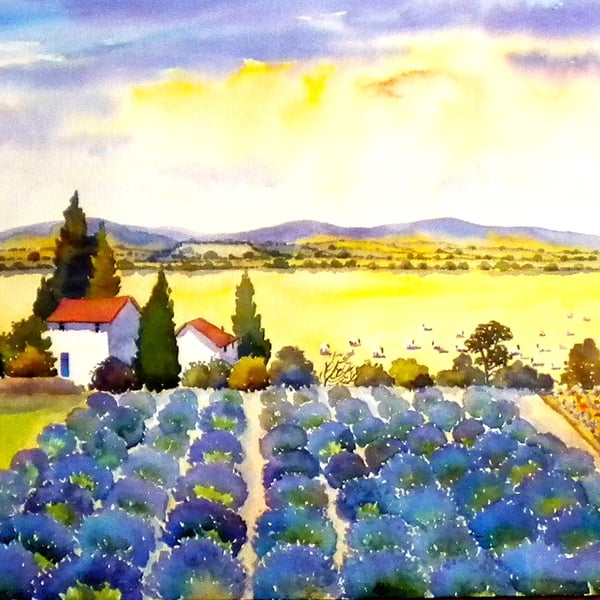 Lavender Field, Provence, South Of France, Watercolour Print in 20 x 16 '' Mount