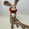 Ruffle Hare