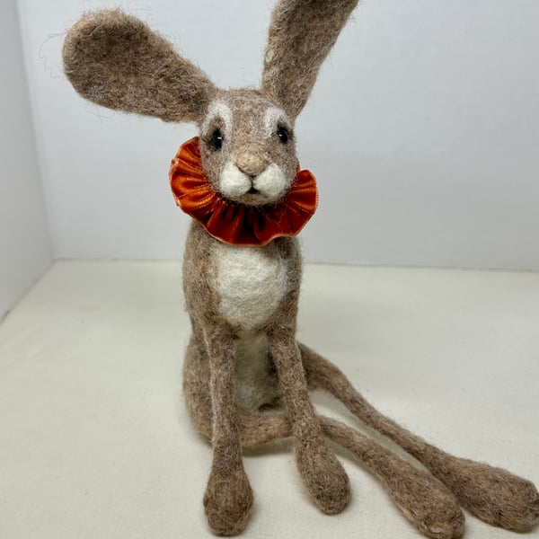 Ruffle Hare
