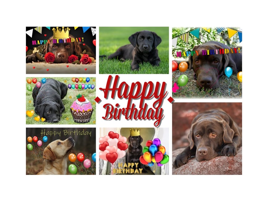 Happy Birthday Lots of Labrador Card A5