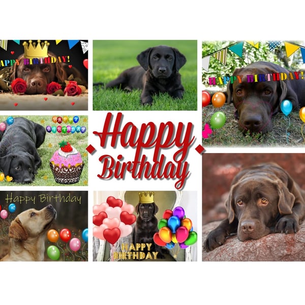 Happy Birthday Lots of Labrador Card A5