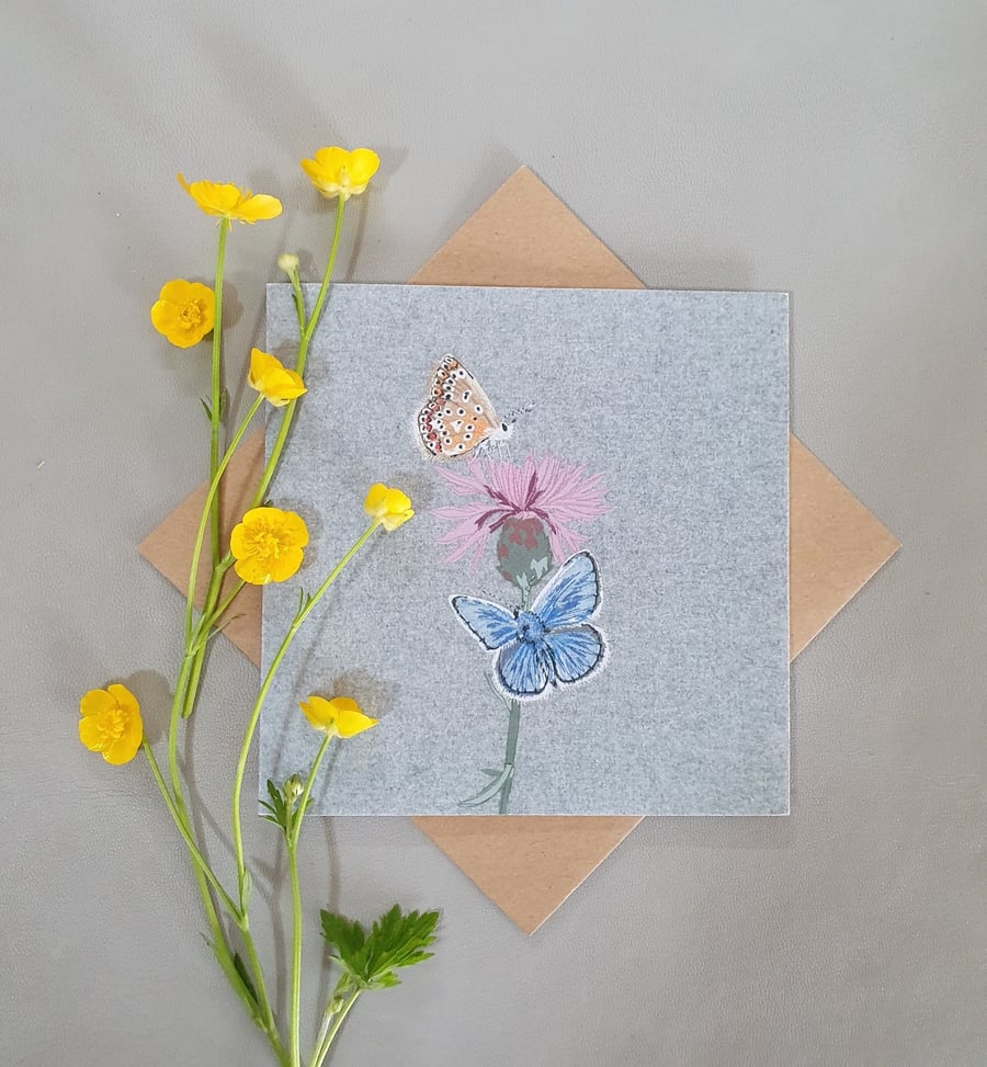 Common blue butterfly card, blank cards, thinking of you, just to say