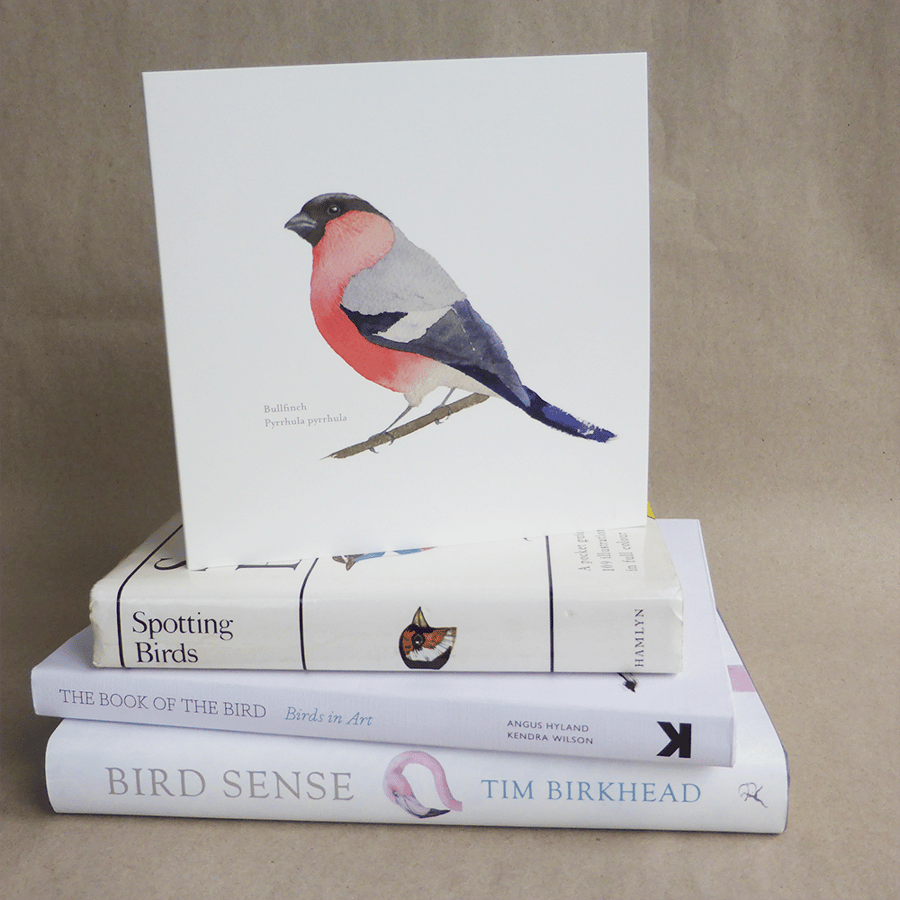 Bullfinch square card