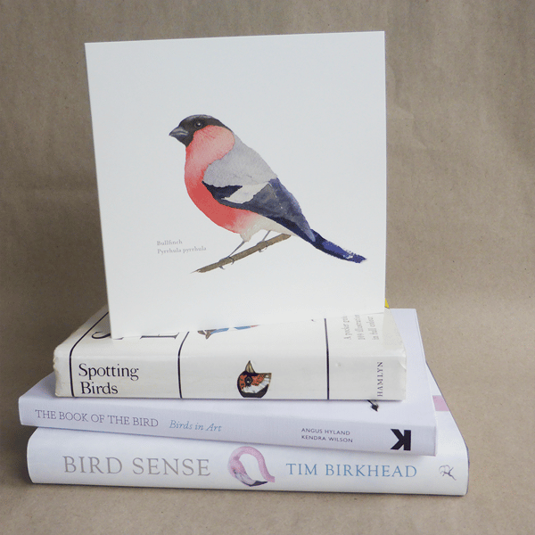 Bullfinch square card