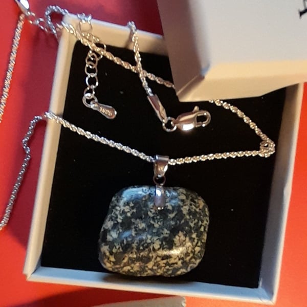The Money Bag