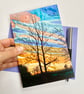Sunrise tree printed card.