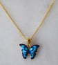 Blue Butterfly Pendant with gold plated Chain