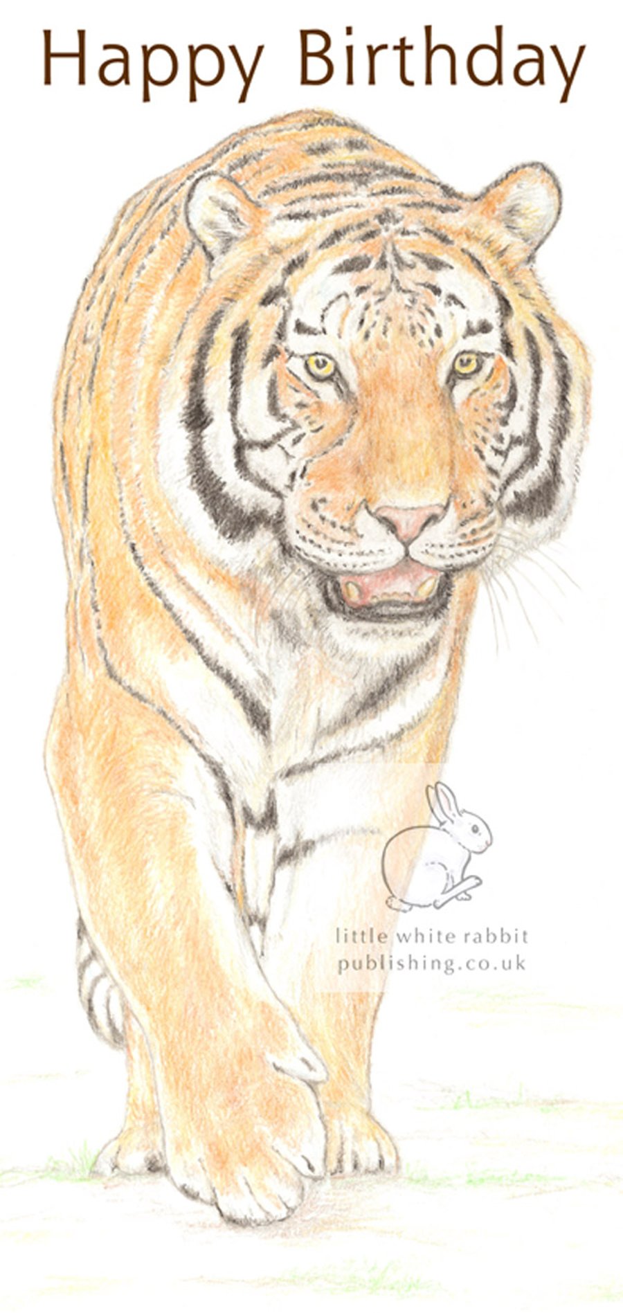 Tiger -  Birthday Card