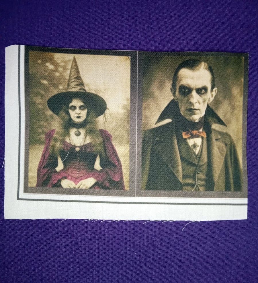 Fabric panel witch and vampire. 1 Halloween