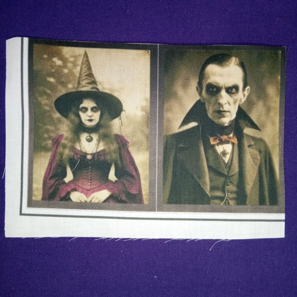 Fabric panel witch and vampire. 1 Halloween