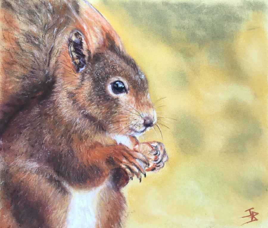 Giclee print of red squirrel painting ‘The Nutcracker’