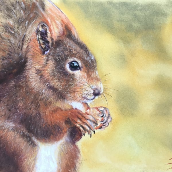 Giclee print of red squirrel painting ‘The Nutcracker’