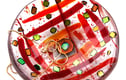 Fused Glass Art  