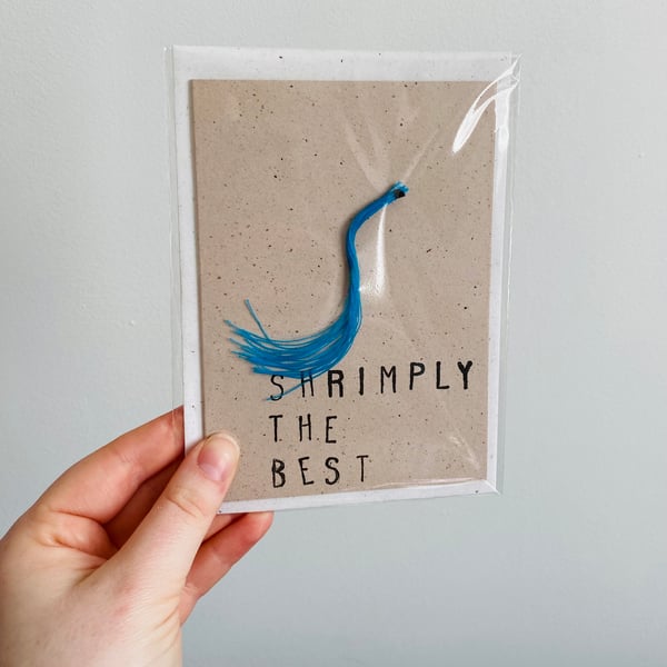 Beach Waste Greetings Card A6 - Shrimply The Best