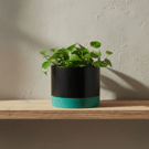 Large 15 cm Round Black and Persian Green Indoor Plant Pot